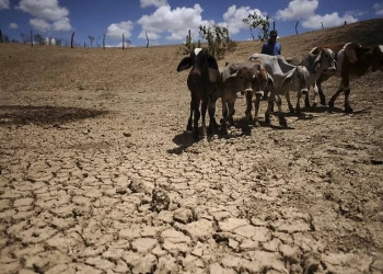 El Niño intensifica risco de seca e estiagem no Nordeste brasileiro