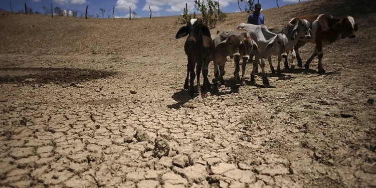 El Niño intensifica risco de seca e estiagem no Nordeste brasileiro